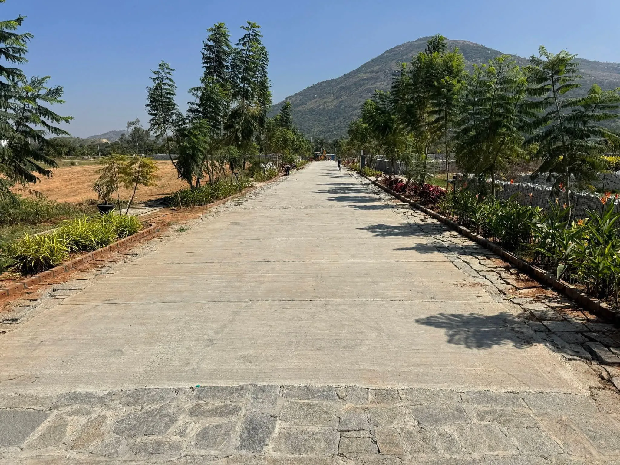 Homes of Sanctuary: Eco-Friendly Getaways That Celebrate Nature and Craftsmanship