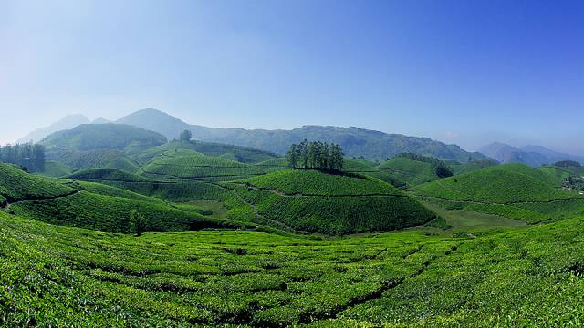 Ten Best Hill Stations of South India 