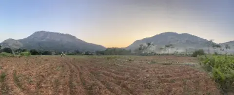 Open farmland at dawn in the Chikkaballapur countryside