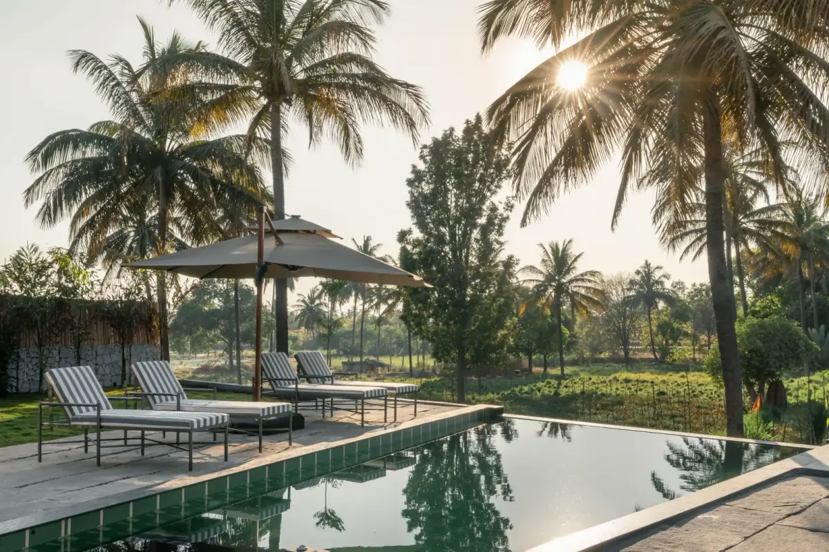 Loungers under coconut palms beside the pool at Villa Nirvaana